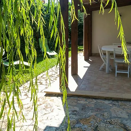 In With Wifi * Marsala