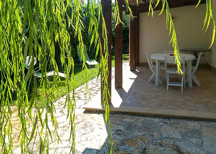 In With Wifi * Marsala